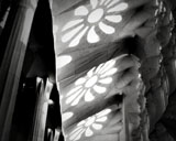 Dramatic Black & White