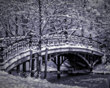 Dramatic Black & White