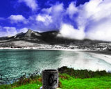 Hand Tint