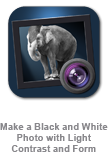 Dramatic Black and White