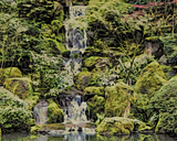 Moku Hanga