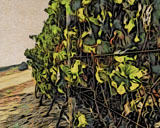 Moku Hanga