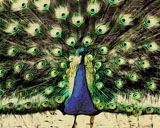 Moku Hanga