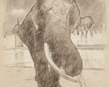 Artista Sketch