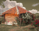 Romantic Photo