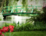 Romantic Scene