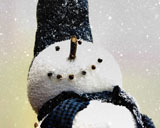 Snow Daze