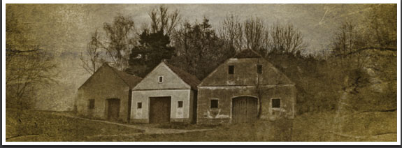 Vintage Scene is the best special effects software for photography enthusiasts, turning a new or recent photo into an old photo, one that looks like it was taken many years ago.
